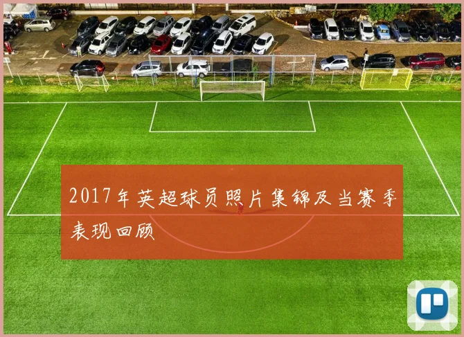 2017年英超球员照片集锦及当赛季表现回顾