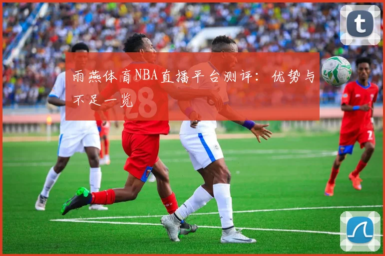 雨燕体育NBA直播平台测评：优势与不足一览