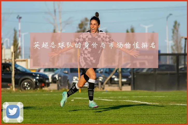 英超各球队的身价与市场价值排名