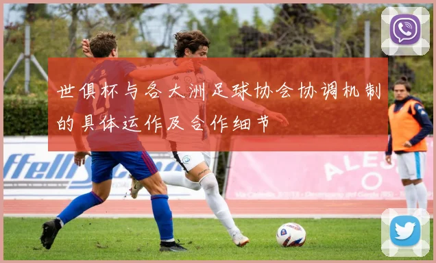世俱杯与各大洲足球协会协调机制的具体运作及合作细节