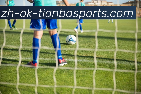 谢菲尔德联是否属于英超球队？球队现状详解